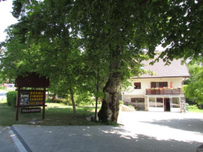 House Nenad